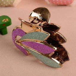 時尚與實用的完美結(jié)合 fr1111大號貼皮沖涼夾及其多元發(fā)飾系列